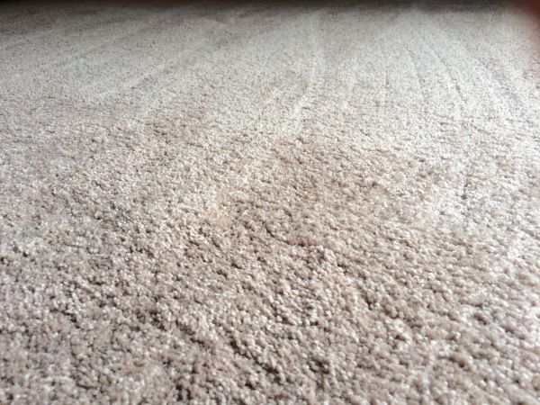 Plush Carpet Installation in Wichita Falls